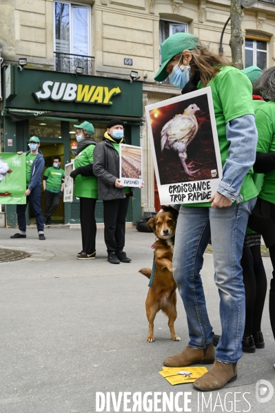 Cause animale : Action nationale L214 devant le siège de SUBWAY pour dénoncer les conditions d elevage des poulets de chair. Animals rights, chickens.