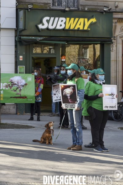 Cause animale : Action nationale L214 devant le siège de SUBWAY pour dénoncer les conditions d elevage des poulets de chair. Animals rights, chickens.
