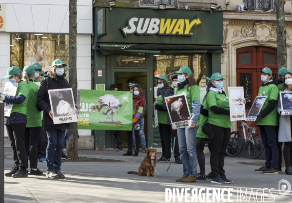 Cause animale : Action nationale L214 devant le siège de SUBWAY pour dénoncer les conditions d elevage des poulets de chair. Animals rights, chickens.