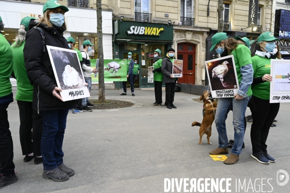 Cause animale : Action nationale L214 devant le siège de SUBWAY pour dénoncer les conditions d elevage des poulets de chair. Animals rights, chickens.