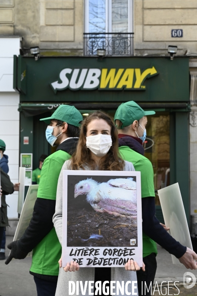 Cause animale : Action nationale L214 devant le siège de SUBWAY pour dénoncer les conditions d elevage des poulets de chair. Animals rights, chickens.