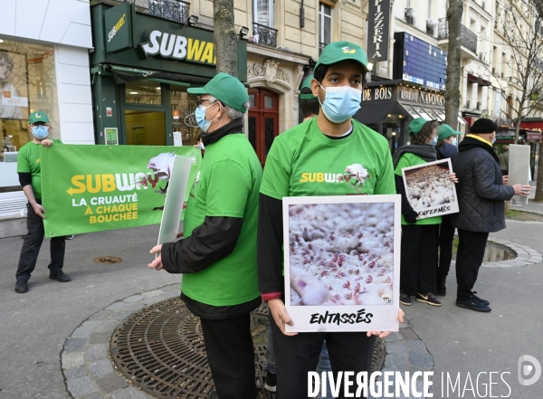 Cause animale : Action nationale L214 devant le siège de SUBWAY pour dénoncer les conditions d elevage des poulets de chair. Animals rights, chickens.