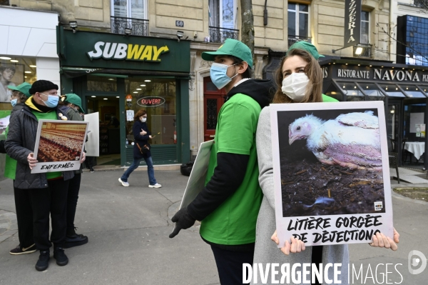 Cause animale : Action nationale L214 devant le siège de SUBWAY pour dénoncer les conditions d elevage des poulets de chair. Animals rights, chickens.