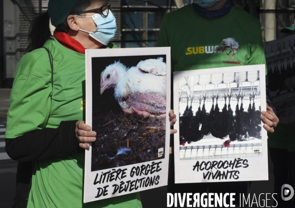 Cause animale : Action nationale L214 devant le siège de SUBWAY pour dénoncer les conditions d elevage des poulets de chair. Animals rights, chickens.