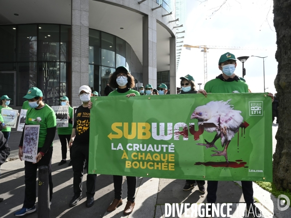 Cause animale : Action nationale L214 devant le siège de SUBWAY pour dénoncer les conditions d elevage des poulets de chair. Animals rights, chickens.