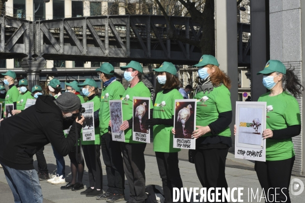 Cause animale : Action nationale L214 devant le siège de SUBWAY pour dénoncer les conditions d elevage des poulets de chair. Animals rights, chickens.