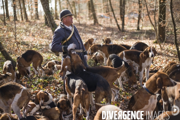 Chasse a courre a compiegne.