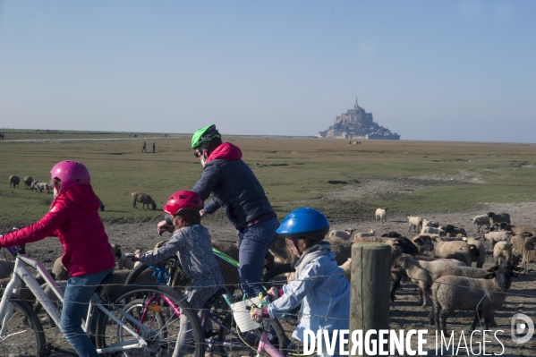 Le Mont Saint Michel ,l arrivée