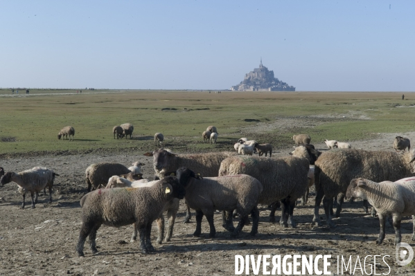 Le Mont Saint Michel ,l arrivée