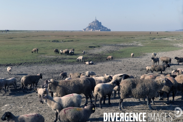 Le Mont Saint Michel ,l arrivée