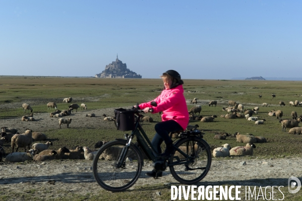 Le Mont Saint Michel ,l arrivée