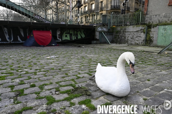 Le service de sécurité de la mairie de Paris chasse les gens devenus SDF et qui vivent sous une tente. Homeless are chased away by the Mairie de Paris security.