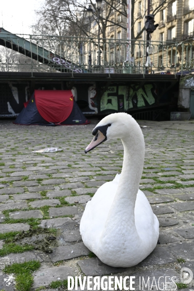 Le service de sécurité de la mairie de Paris chasse les gens devenus SDF et qui vivent sous une tente. Homeless are chased away by the Mairie de Paris security.