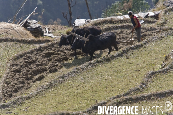 Nepal