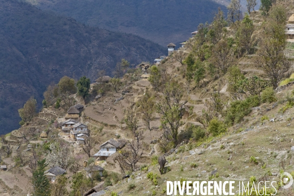 Nepal