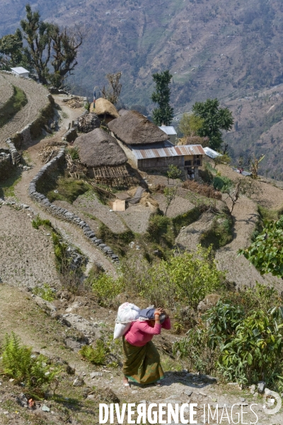 Nepal