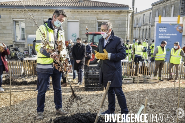 Inauguration d une micro-forêt BORDEAUX