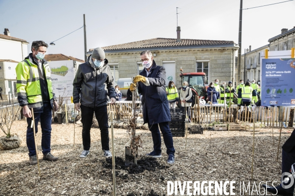 Inauguration d une micro-forêt BORDEAUX