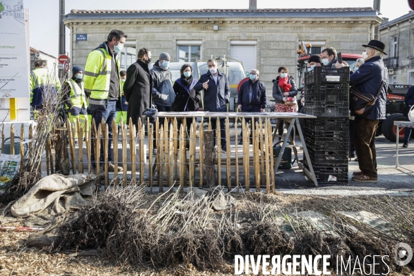 Inauguration d une micro-forêt BORDEAUX