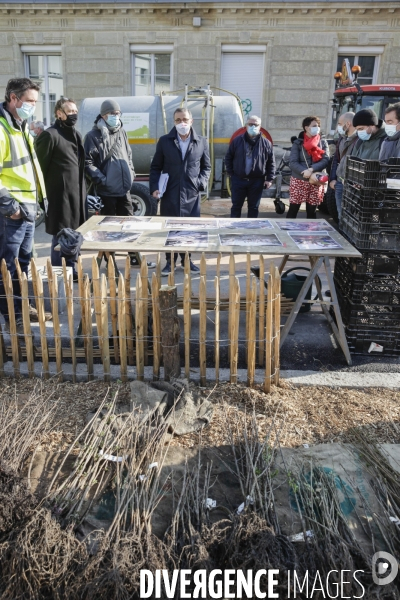 Inauguration d une micro-forêt BORDEAUX