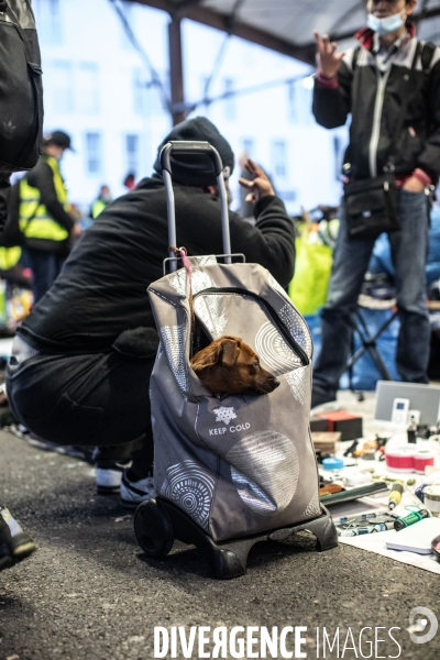 Jour de Marché des Biffins