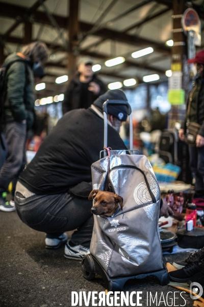 Jour de Marché des Biffins