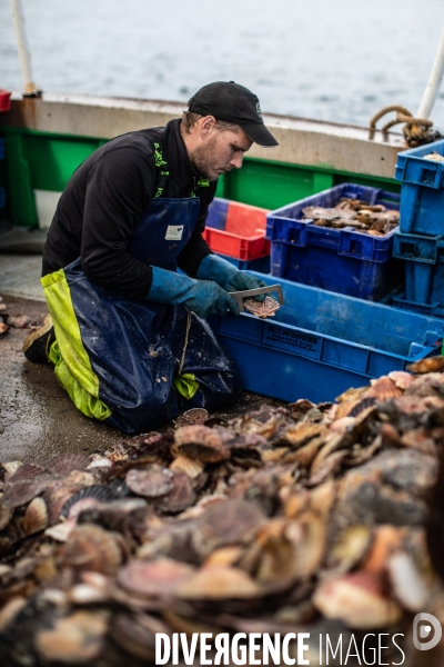 Peche coquille saint jacques a saint quay portrieux