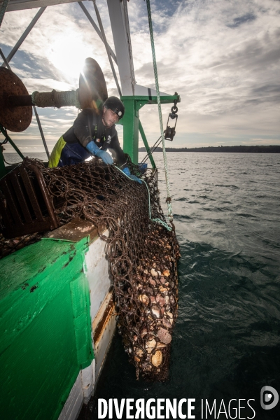 Peche coquille saint jacques a saint quay portrieux