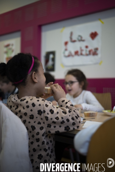 Cantines Scolaires marseillaises