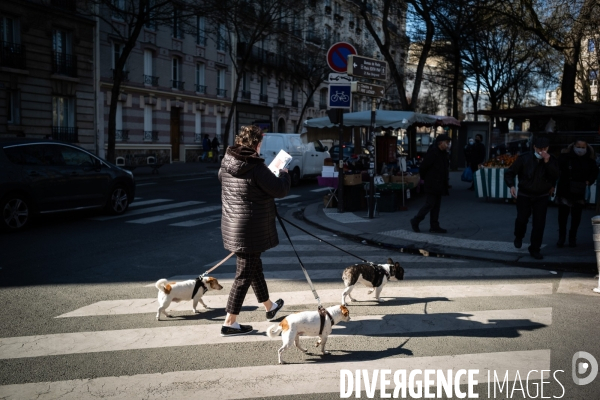 Chiens