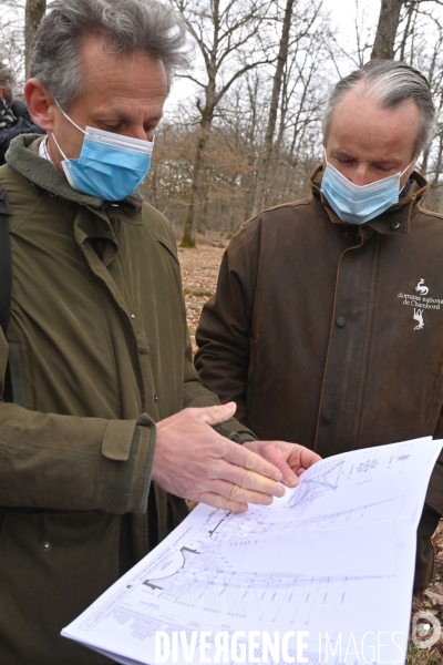 Un chêne centenaire, de la forêt de Chambord, pour reconstruire Notre-Dame de Paris