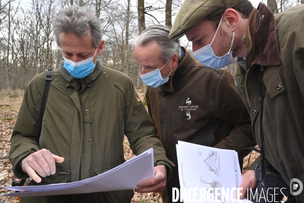 Un chêne centenaire, de la forêt de Chambord, pour reconstruire Notre-Dame de Paris