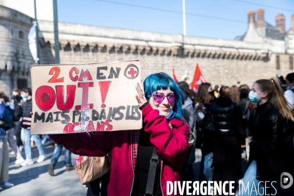 Marche pour le climat à Nantes