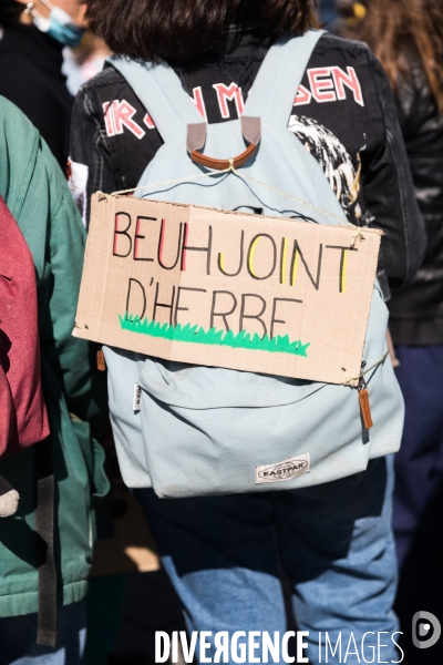 Marche pour le climat à Nantes