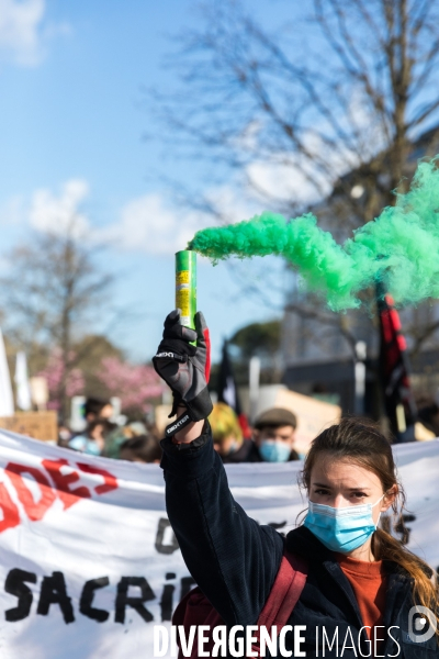 Marche pour le climat à Nantes