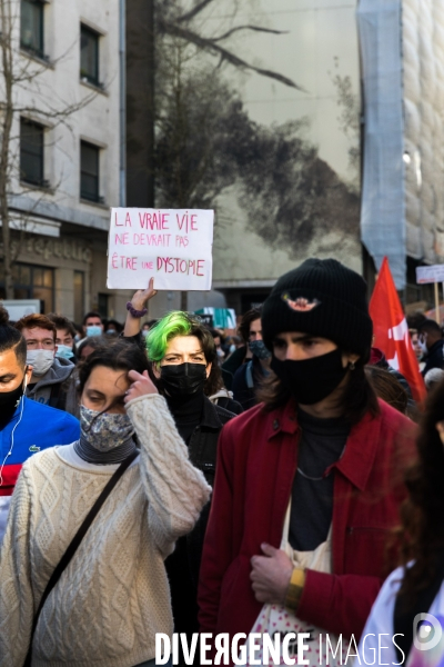 Marche pour le climat à Nantes