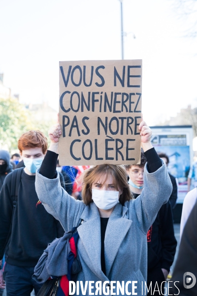 Marche pour le climat à Nantes