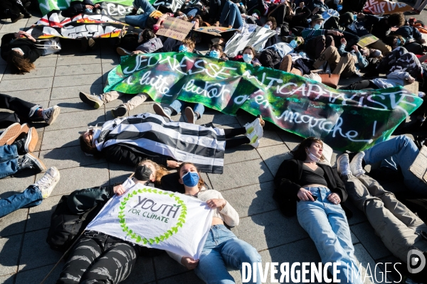 Marche pour le climat à Nantes