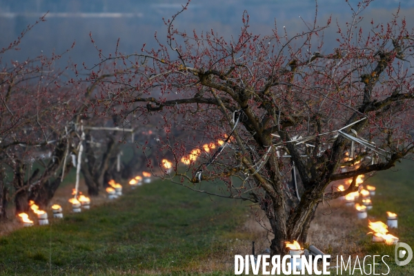 Arboriculture : des chaufferettes contre le gel dans les vergers