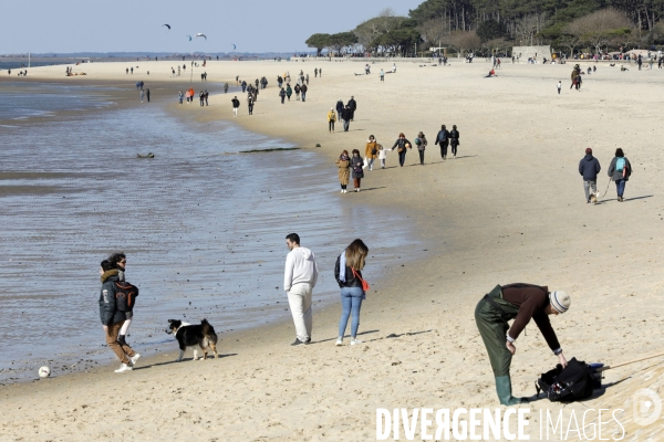 Plage sur le bassin d Arcachon