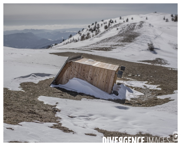 Le long de la Transbassealpine Digne Nice Printemps 2021