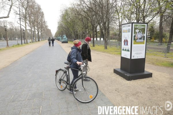 Le chat de geluck sur les champs elysees