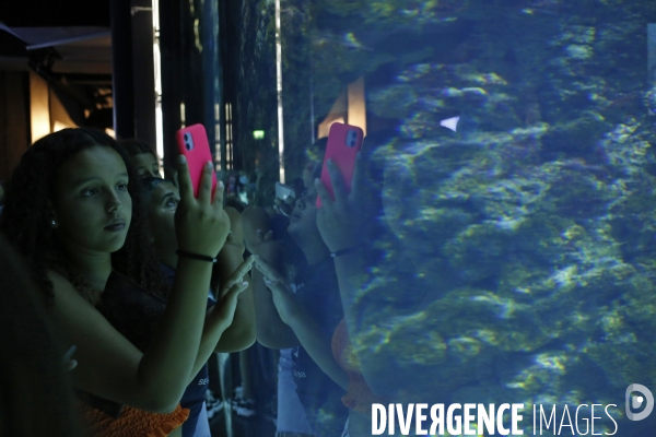 Monaco le 4/08/2020 de jeunes gens originaires de quartiers populaires de Cannes La Bocca dans une colonie apprenante de Cap  d Ail participent à une visite du musée oceanographique de Monaco. Sirine fait des photos d un des  aquariums