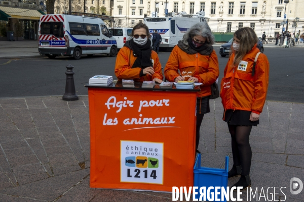 Journée Mondiale pour la Fin de la Pêche