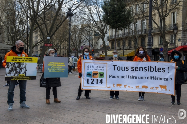 Journée Mondiale pour la Fin de la Pêche