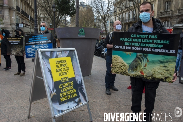 Journée Mondiale pour la Fin de la Pêche