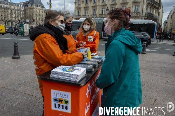 Journée Mondiale pour la Fin de la Pêche