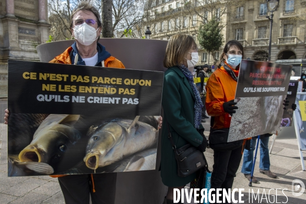 Journée Mondiale pour la Fin de la Pêche