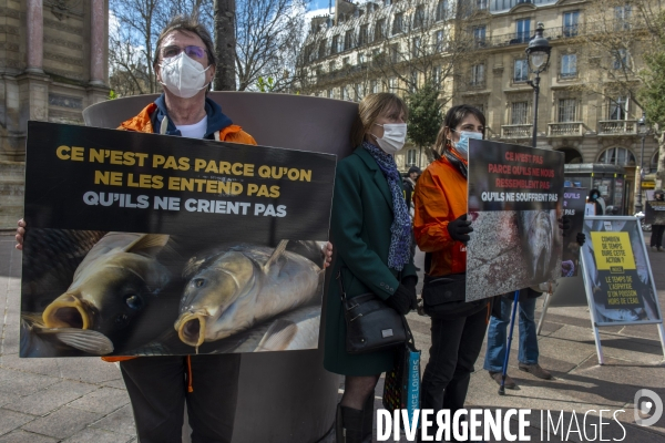 Journée Mondiale pour la Fin de la Pêche