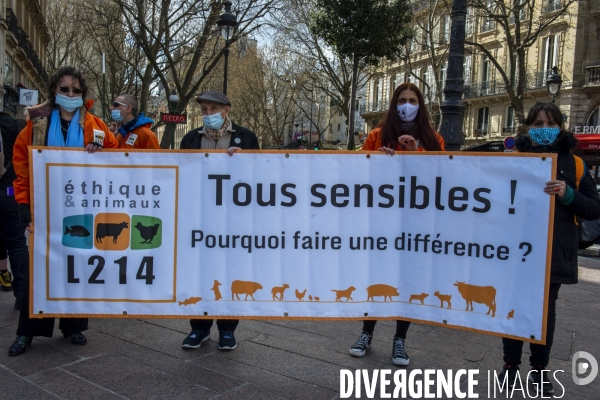 Journée Mondiale pour la Fin de la Pêche